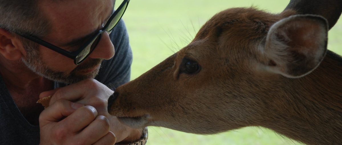 center parcs bois aux daims que faire de votre chien