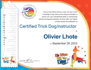 Tricks Dog Instructor