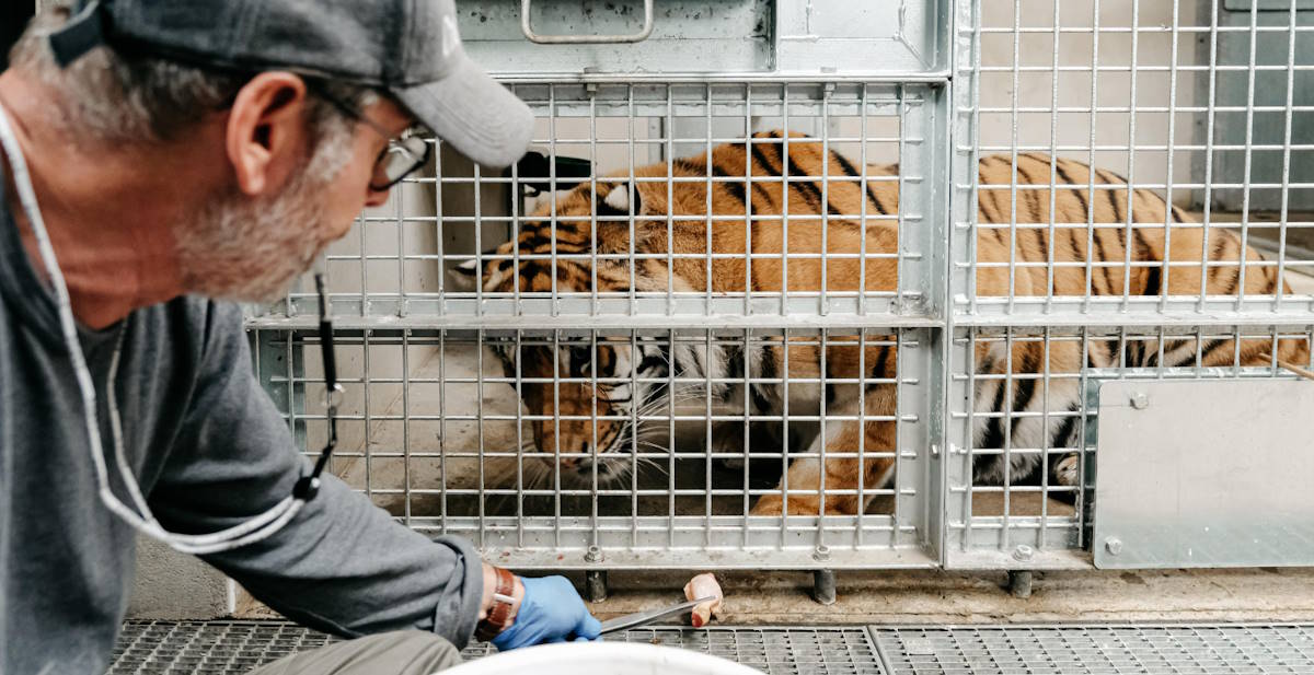 comportementaliste animalier