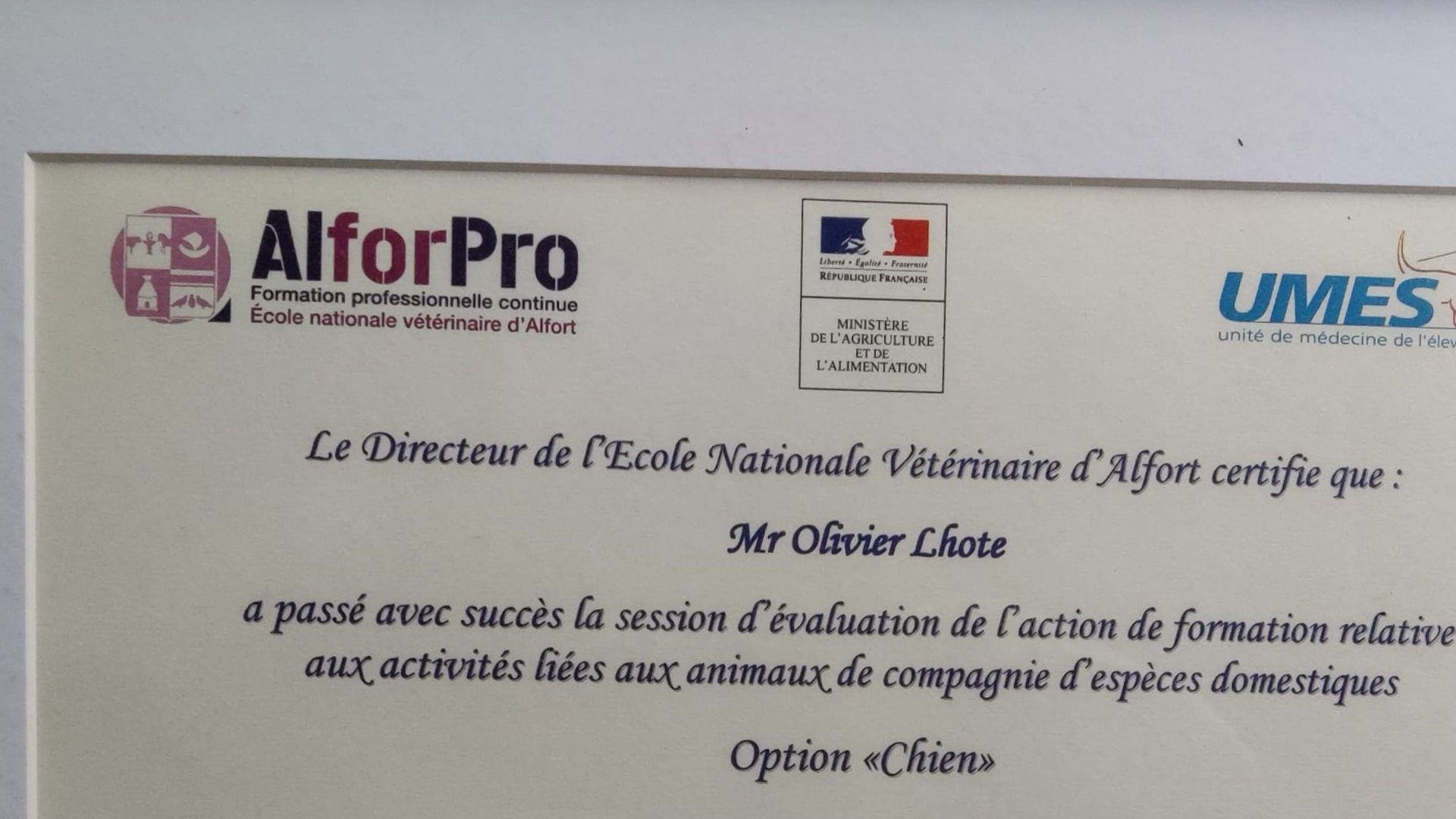 acaced olivier lhote