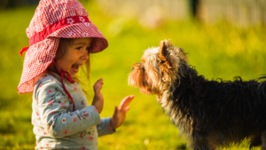 un chien grogne sur un enfant