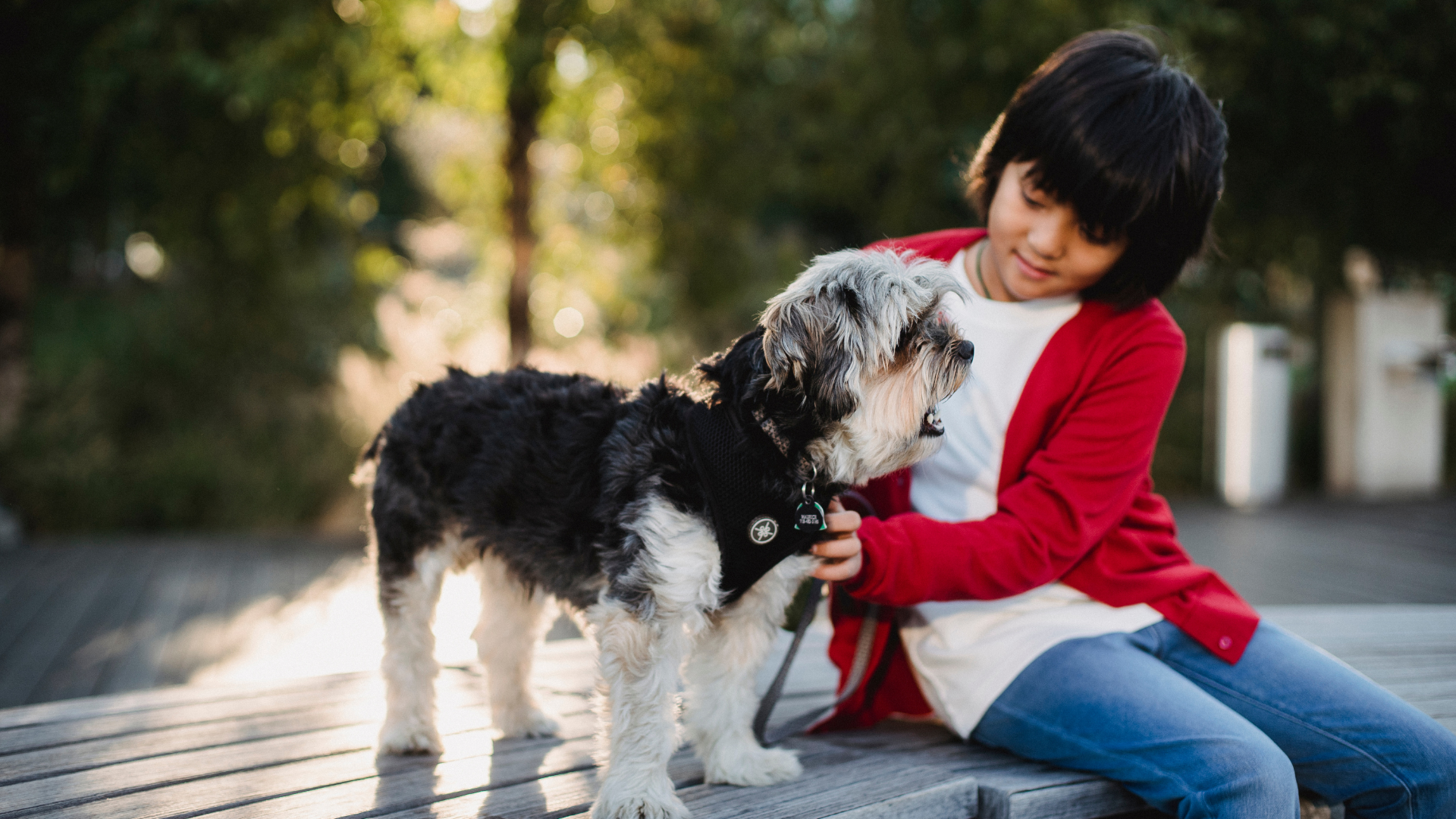 chien peut grogner sur enfant