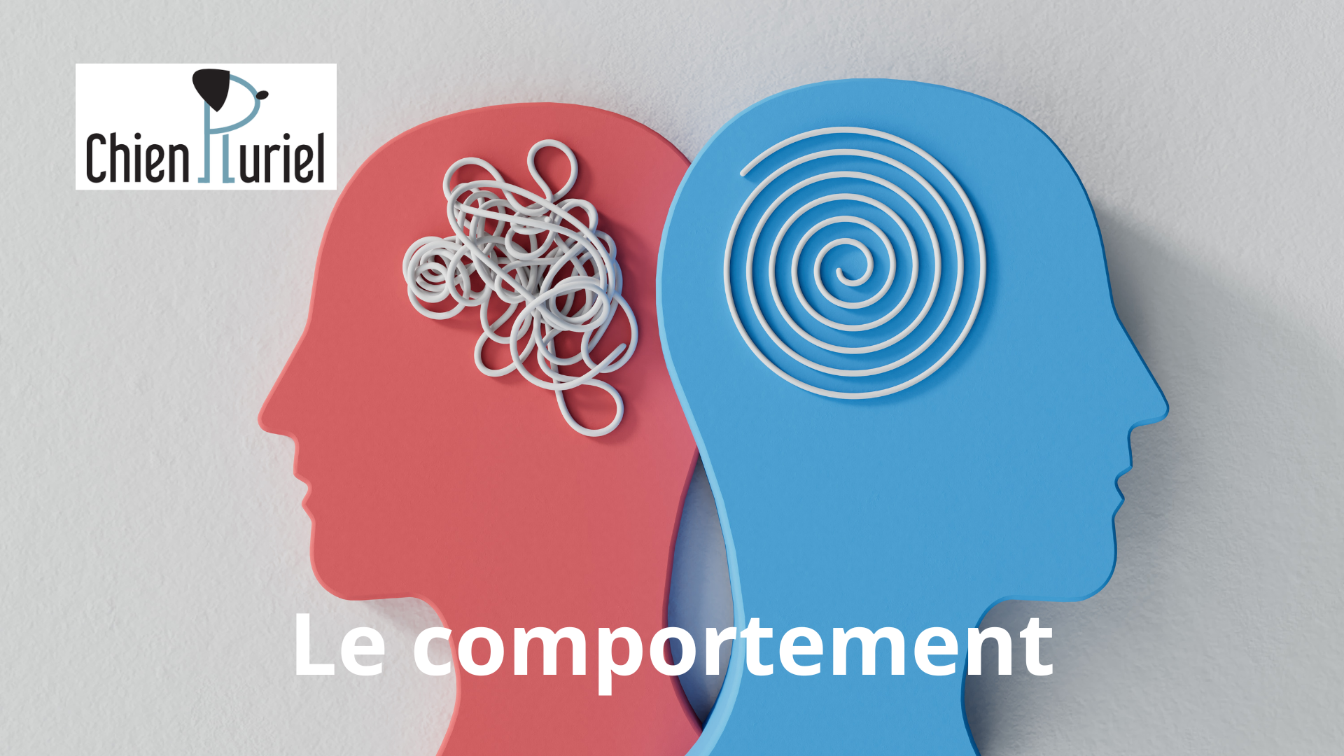 le comportement