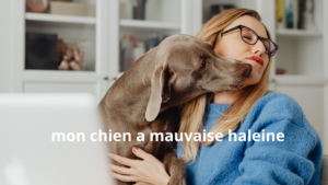 mauvaise haleine du chien