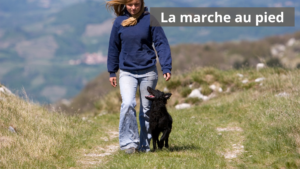 apprendre la marche au pied