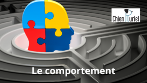 comprendre le comportement