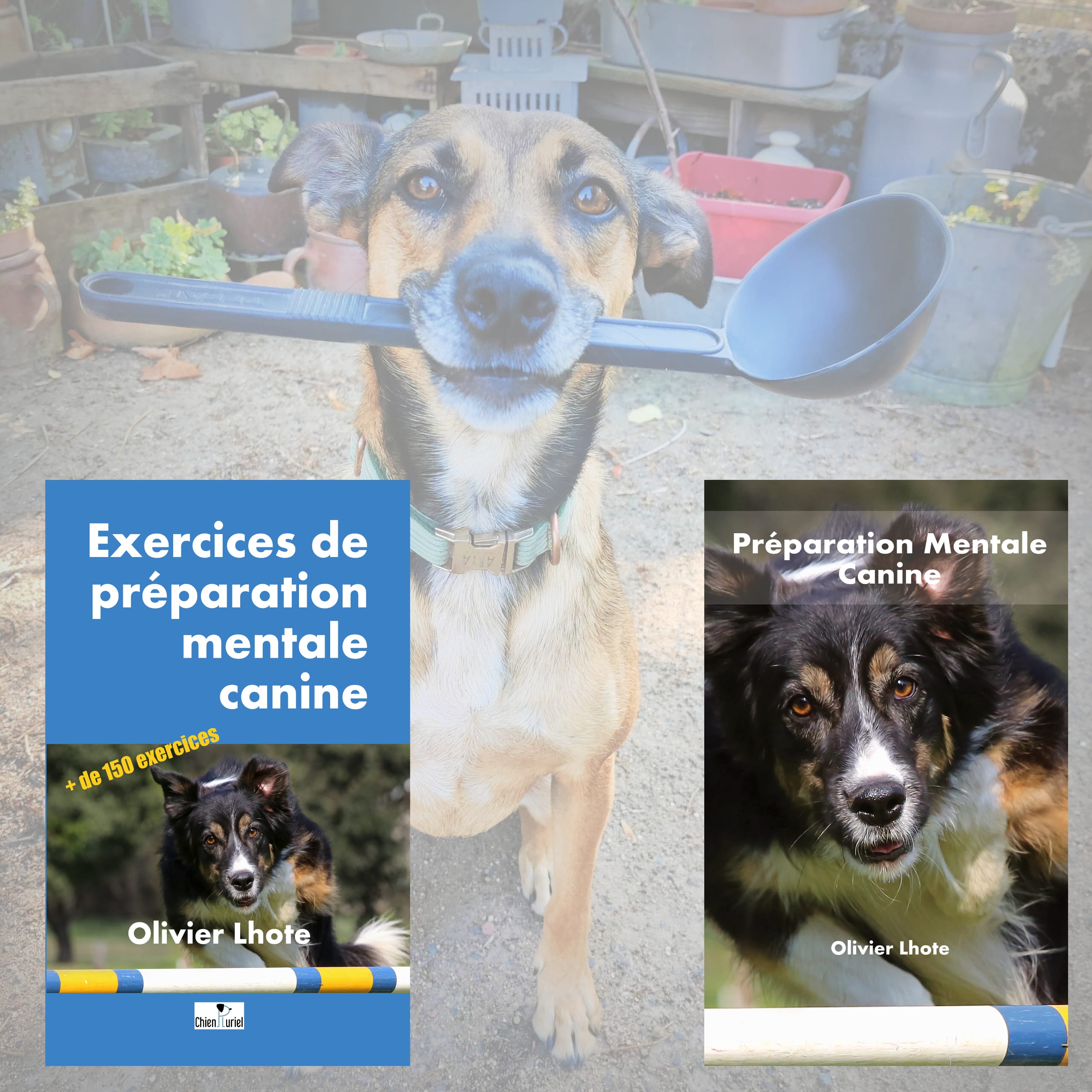 arya et livres préparation mentale canine