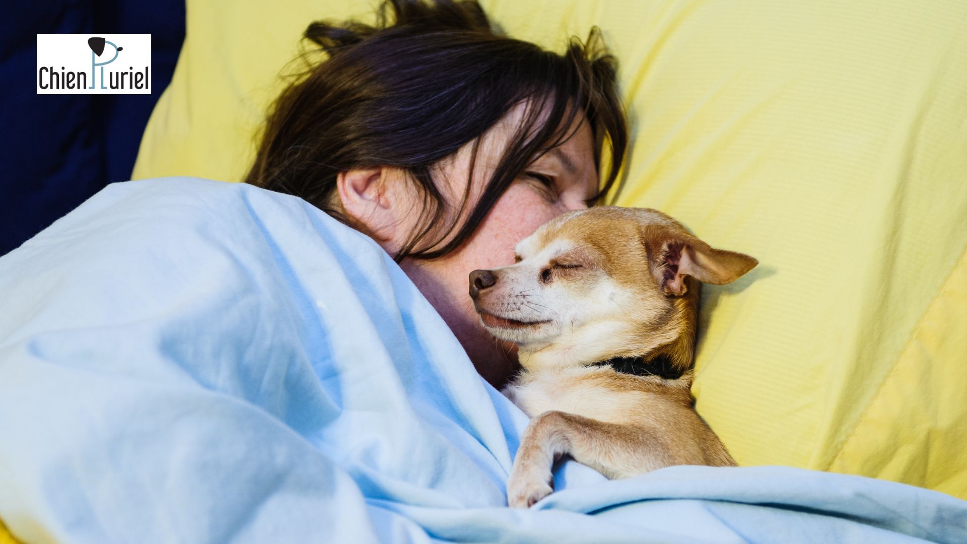 Mon chien dort avec mon enfant : bonne ou mauvaise idée ?
