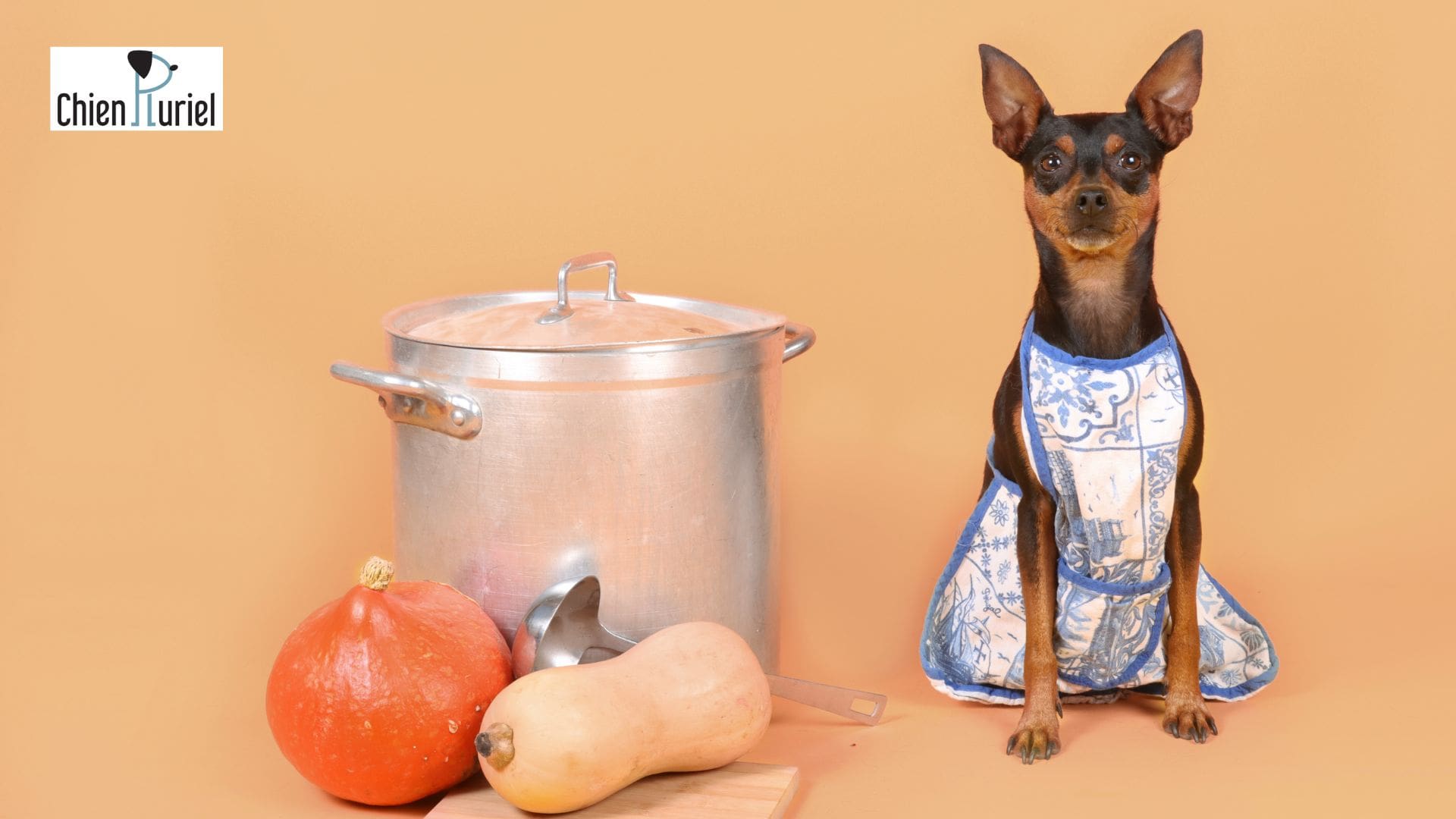 Que penser de la ration ménagère pour son chien ?