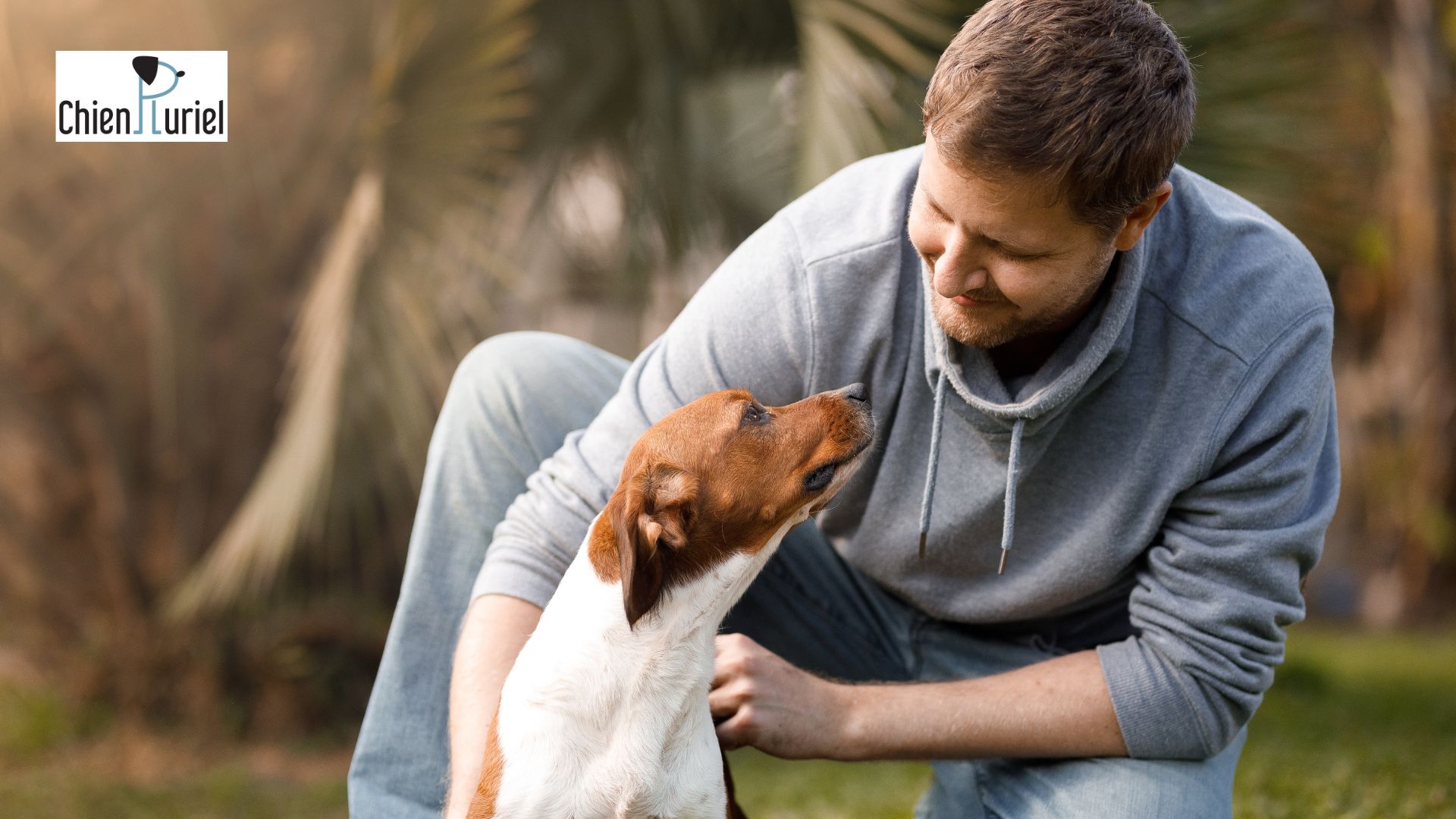 faire comprendre à son chien