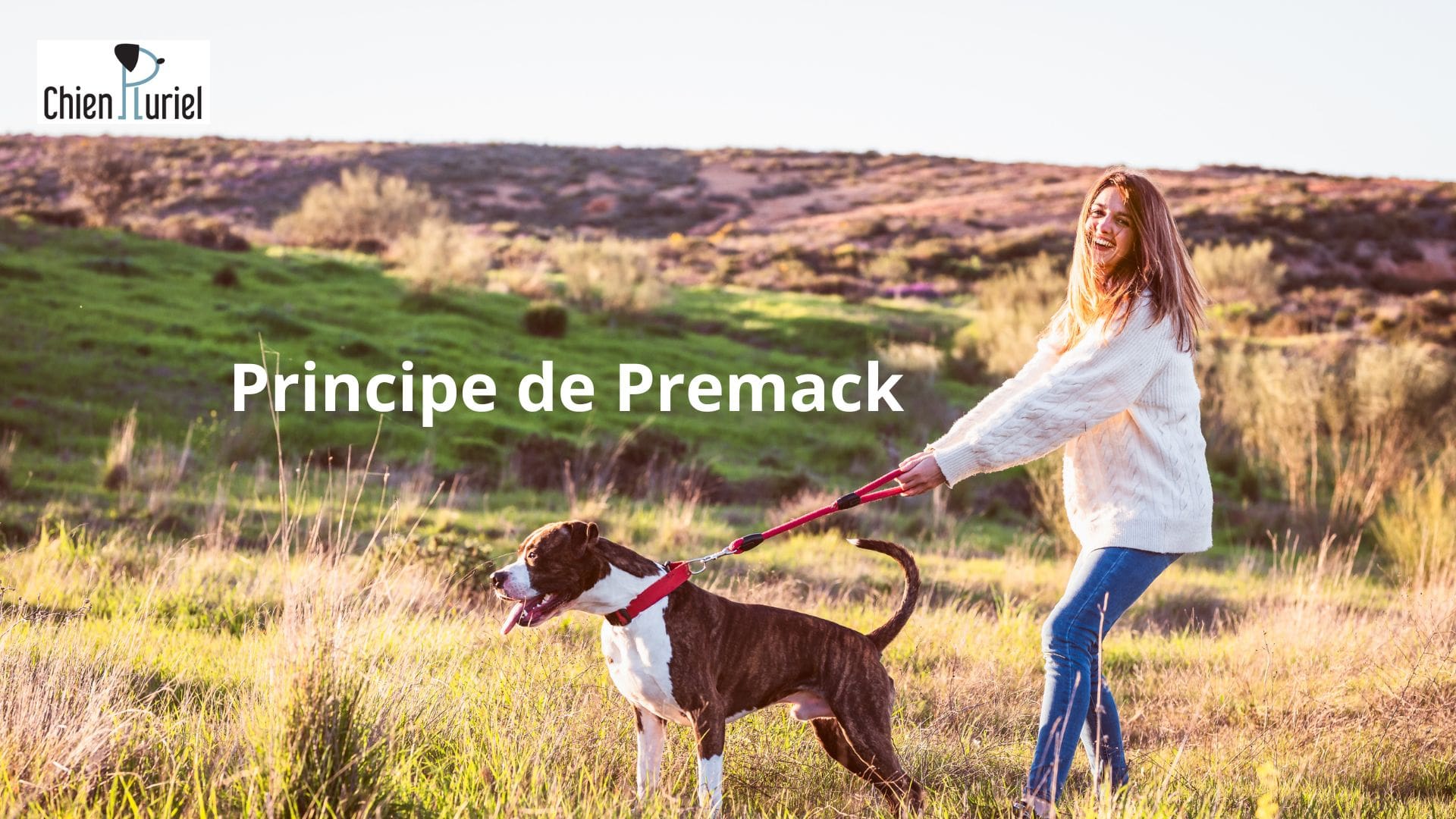 Principe de Premack : Explications