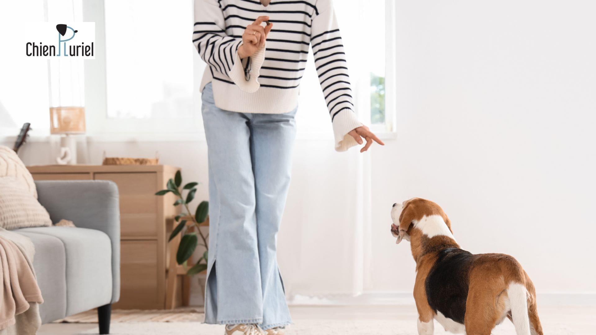 éduquer avec des friandises