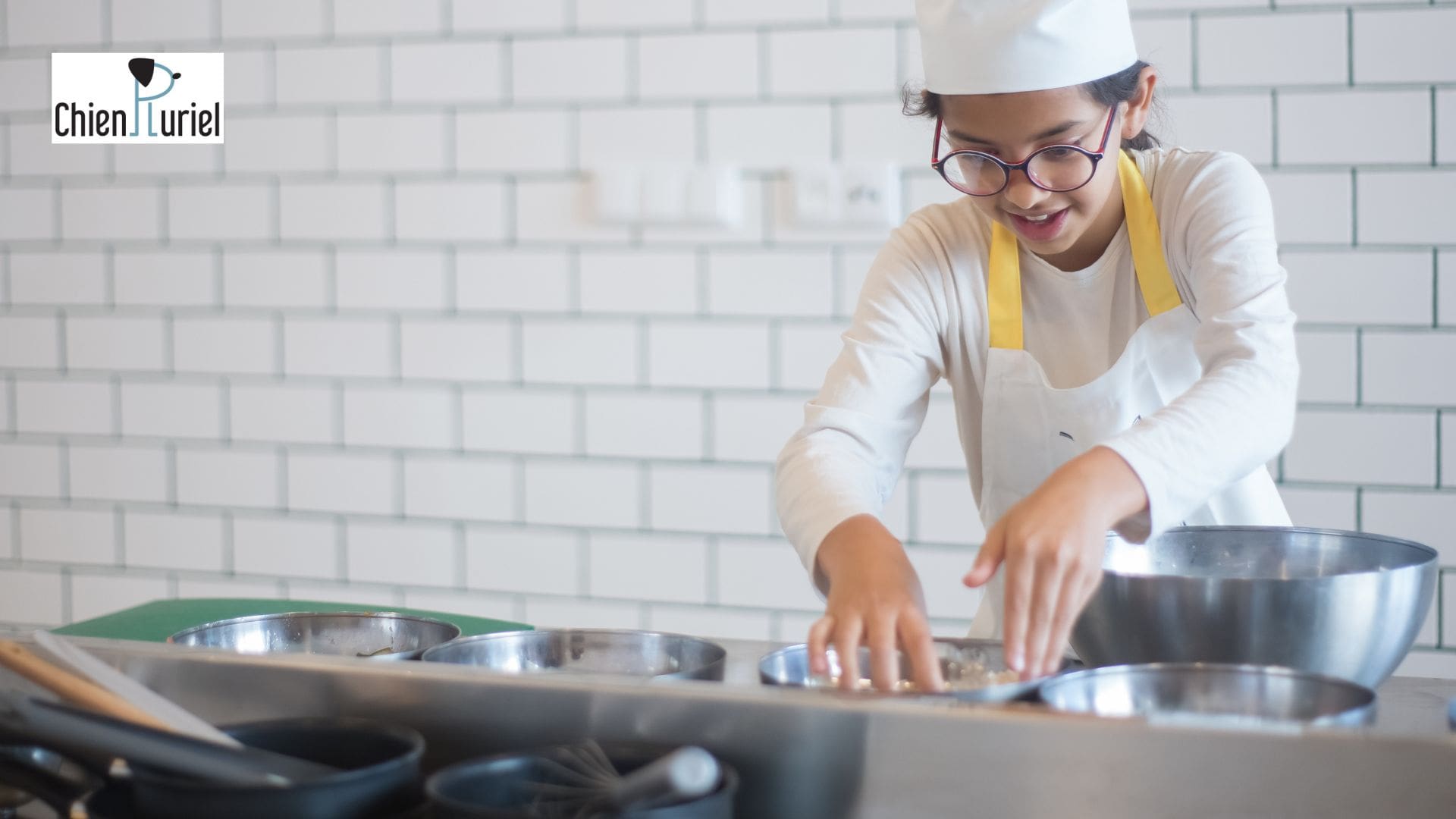 Préparer soi-même les repas de son chien : quel intérêt ?