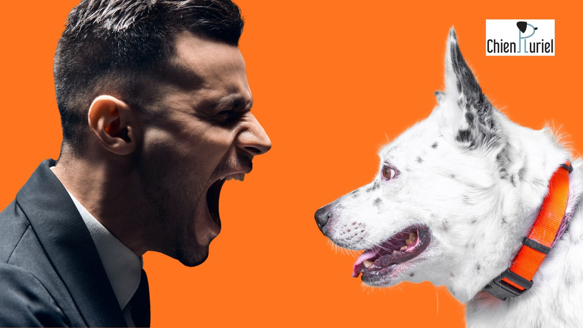 Suis-je trop sévère avec mon chien ?